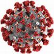 Covid-19 Virus